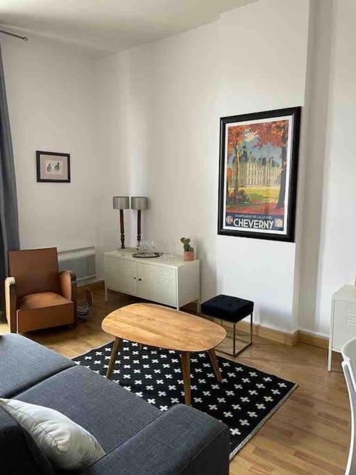 ~Rosa Bonheur~Hyper Centre Apartment Blois Bagian luar foto