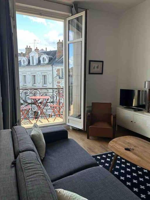 ~Rosa Bonheur~Hyper Centre Apartment Blois Bagian luar foto